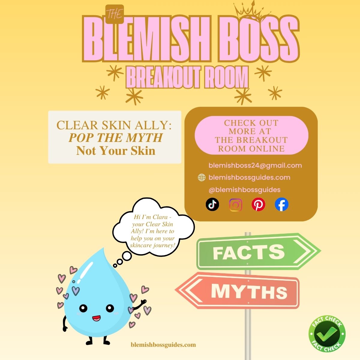 💥 Blemish Boss Breakout Room - Pop the Myth, Not your Skin - a Clear Skin Ally Guide 🎯