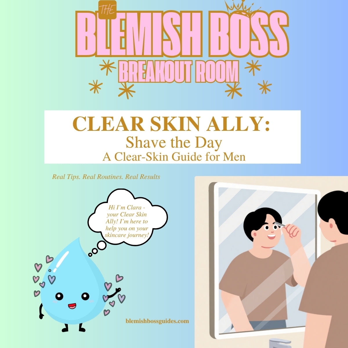 Blemish Boss Breakout Room Clear Skin Ally