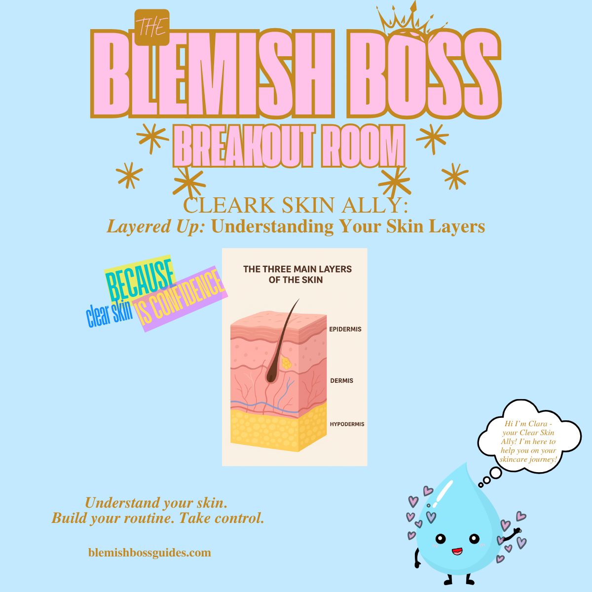 ✨ Blemish Boss ULTIMATE POD (Perioral Dermatitis) Guide - {$301 Combined VALUE}