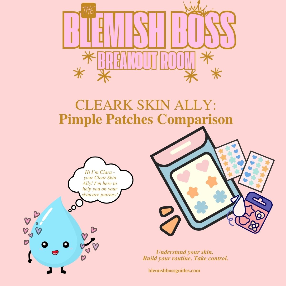 ✨ Blemish Boss ULTIMATE BRO Guide - Easy Acne Guide Skincare Routine, Adult Acne BRO, Cystic Acne Guide, Vitamins and Minerals {$301 Value}